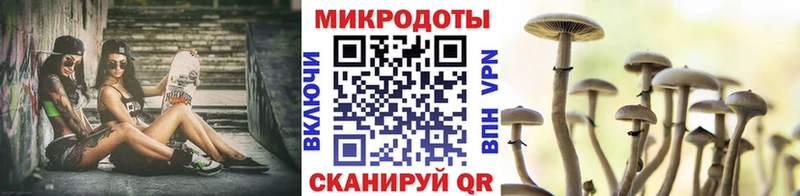 KRAKEN как войти  Удачный  Псилоцибиновые грибы GOLDEN TEACHER 